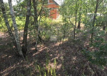 Sprzedam grunt Stare Grabie 1100m2