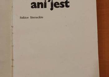 Ani było, ani jest: Szkice literackie  Krzysztof Rutkowski