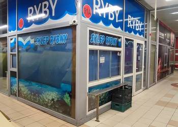 Wynajmę pawilon Plac Szembeka