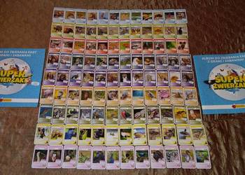 Nowe, Super Zwierzaki, karty, album, biedronka, zagadki