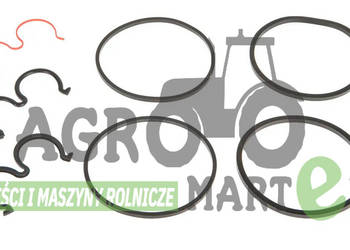F279940050040 ZESTAW NAPRAWCZY POMPY HYDR AGCO