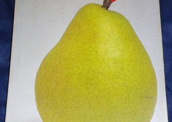 Nigdy w życiu! - Katarzyna Grochola