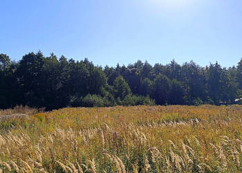 Działka budowlana 1692 m² przy lesie - Szczytno, gm. Załuski