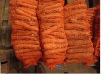 Marchew jadalna oraz dla zwierząt