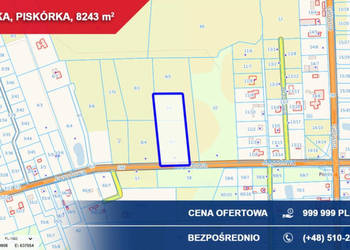 Atrakcyjna działka przy lesie z doskonałym dojazdem | 8243 m² | Piskórka