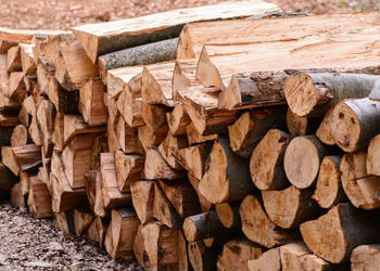 Drewno kominkowe suche z transportem