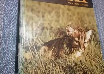 Ssaki Zwierzęta Świata 1988