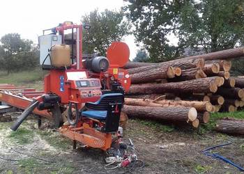 Tartak mobilny trak taśmowy przejezdny