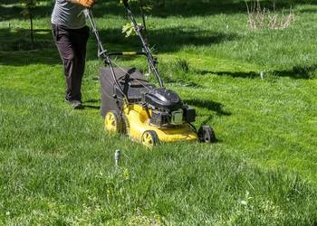 Koszenie trawnikó-pielęgnacja ogrodów-Zapisy.