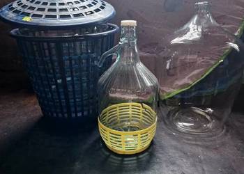 Balon Gąsior na wino