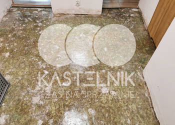 Sprzątanie po zalaniach, usuwanie szkód Busko-Zdrój - Kastelnik Sprzątanie po zalaniach, usuwanie szkód Busko-Zdrój - Kastelnik