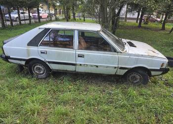 Polonez Borewicz