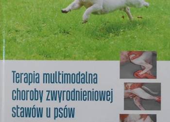 TERAPIA MULTIMODALNA CHOROBY ZWYRODNIENIOWEJ STAWÓW U PSÓW