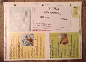 Leśne przygody  DeAgostini  zestaw kart 37-39, 40-42, 58-60, 91-93
