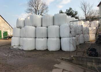 Sprzedam bele sianokiszonki i siana