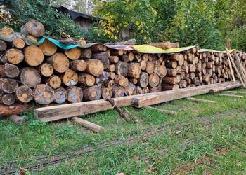 Drewno opałowe, sucha sosna drzewo na opał