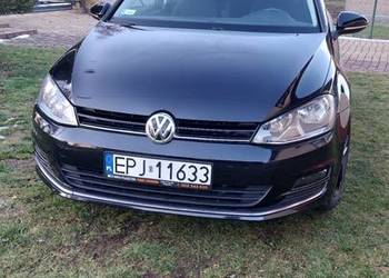 Volkswagen Golf VII 2016r 1.6 TDI BLUE MOTION
