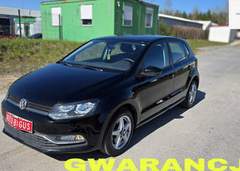 Volkswagen Polo mały przebieg zarejestrowane V (2009-2017)