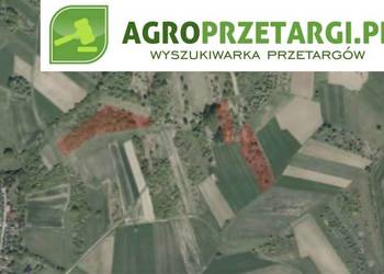 Dzierżawa 9,12 ha gruntu rolnego