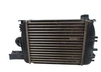 INTERCOOLER 1.5 DCI 144965154R Dacia Dokker I (2012-  )