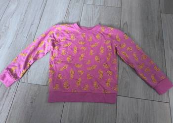 Bluza