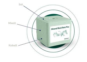 Lizawka solna Ciech Mineral Block Basic Plus zielona 96 sztuk