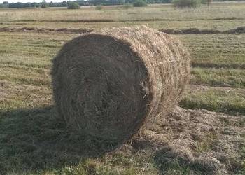 Siano 130x120 pierwszy pokos