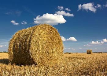 Słoma 2025r bale 120 x 120