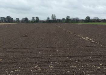 ziemię i łąki w dzierzaw wynajme