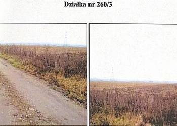 SYNDYK SPRZEDA DZIAŁKĘ