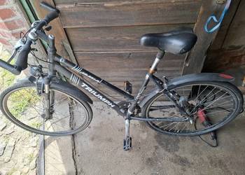 Rower triumph kola 26