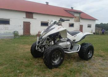 Quad dinli dl801 300cm3