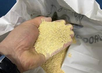 Producent sprzeda srute sojowa 46+ luzem