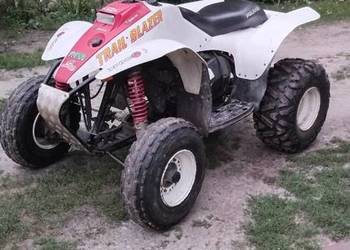 Polaris trailblazer 250