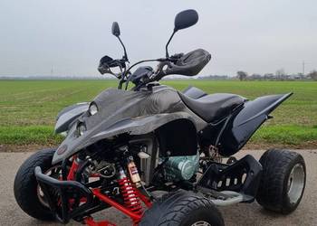 Quad Shineray Spyder/ Bashan 250cc Ciecz 4+R Duża Rama Zarejestrowany