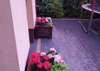 Donice Drewniane 50x50 cm – Idealne na Taras i Ogród