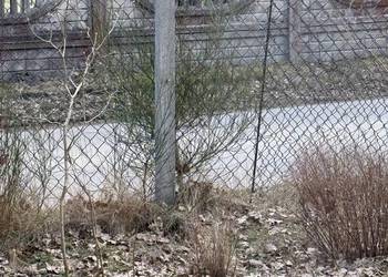 Słupki betonowe + Siatka ogrodzeniowa