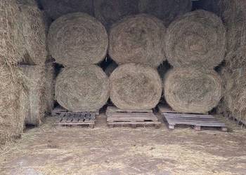 Siano pogodne z sianych łąk. Bele 120na135 MOŻLIWY TRANSPORT