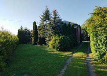 Na sprzedaż dom o powierzchni ok. 80m² z budynkiem gospodarczym na dużej d…