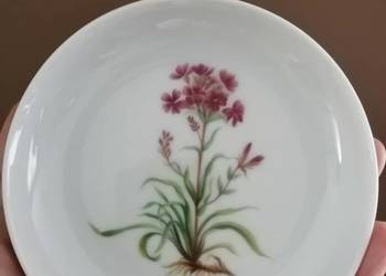 Viscoria Alpina konfiturówka Furstenberg