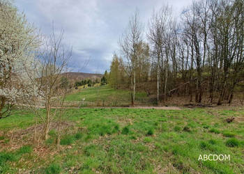 Nielepice-dzialka budowlana w otoczeniu zieleni