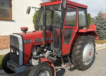 Sprzedam MF 255 (Ursus 3512)