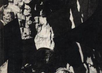 Dni powstania  Kronika fotograficzna walczącej Warszawy