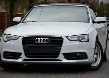 Audi A5 Cabrio Zarejestrowane 2.0TDI 190KM Serwis Bi-xenon Navi B&O Grz.fo…