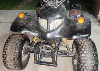 Quad Adly 100 cc automat odpalany z kopniaka i rozrusznika