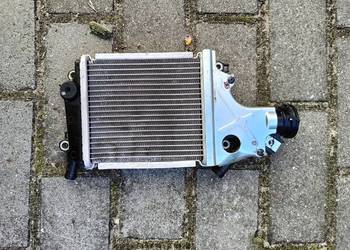 Honda Forza 125 chłodnica