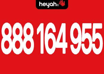 Złoty numer VIP 888_164_955 | Idealny dla Biznesu | Prestiż