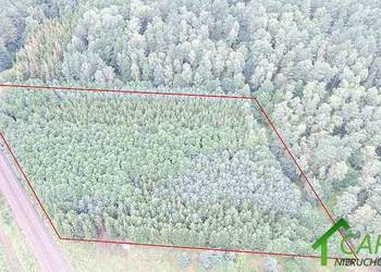 Działka 6219m2 Wysoka Kamieńska