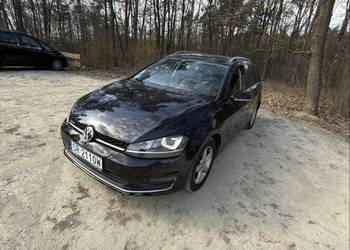 Golf 7 Variant Highline Zadbany