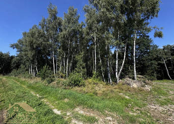 Sprzedam grunt Wodzisław Śląski 5429m2